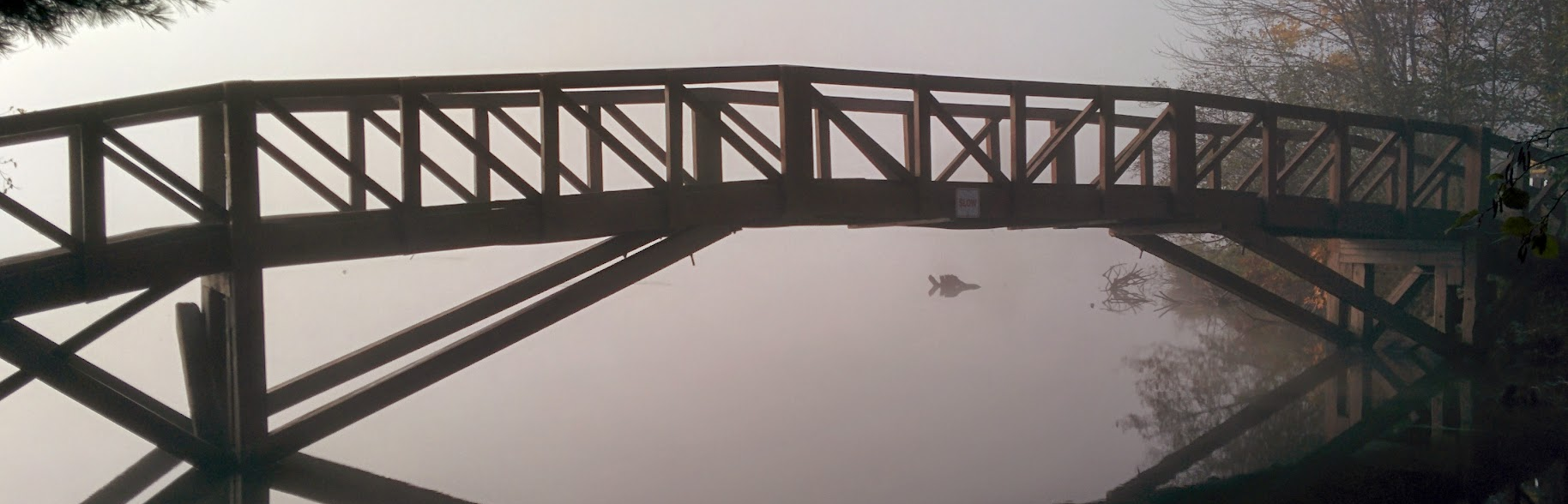 _images/banner.bon.echo.bridge.png